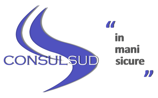 Consulsud S.r.l. Logo